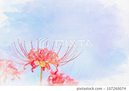 [Aichi Prefecture]Higanbana on the Yakatsu Riverbank, Handa City 107268074