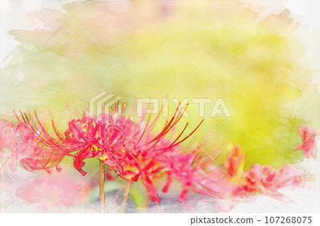 [愛知縣]半田市野勝河畔的彼岸花 107268075