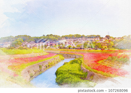 [愛知縣]半田市野勝河畔的彼岸花 107268096