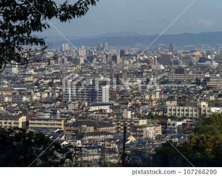 從山上俯瞰大阪城 從山上俯瞰大阪城 107268290