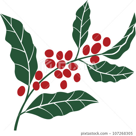 Red fruit (Coffee, Senryo, Nanten) 107268305