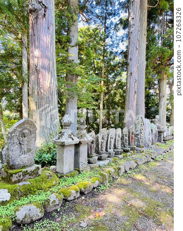 蕨平石佛群【長野縣白馬村蕨平地區】 107268326