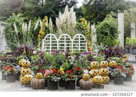 萬聖節南瓜和秋季裝飾品 107268327