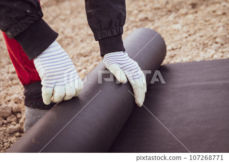 A woman spreads a roll of black agricultural fiber on the ground A woman spreads a roll of black agricultural fiber on the ground 107268771