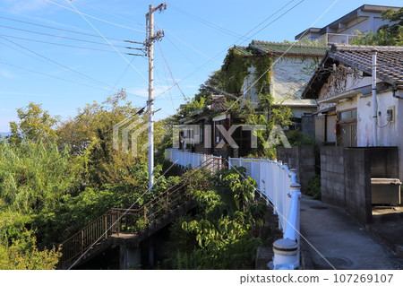 Saikazaki [Saikazaki Walk (Japanese Amalfi)] / Wakayama City 107269107