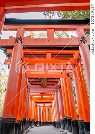 [京都府] 伏見稻荷大社千本鳥居 107269137