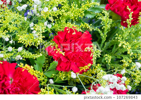 flower bouquet of red carnation with green leaves background flower bouquet of red carnation with green leaves background 107269843
