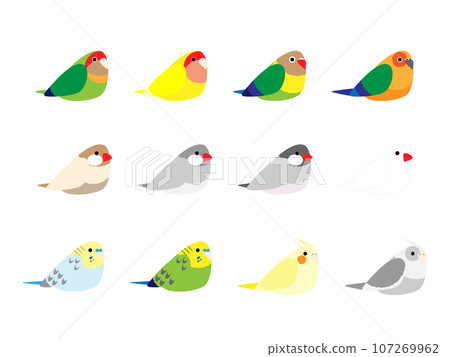Bird's illustration set 107269962