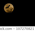 Halloween image_full moon and bats 107270821