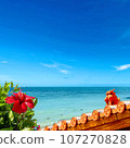 Okinawa scenery_Shisa, sea and hibiscus 107270828
