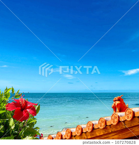 Okinawa scenery_Shisa, sea and hibiscus Okinawa scenery_Shisa, sea and hibiscus 107270828