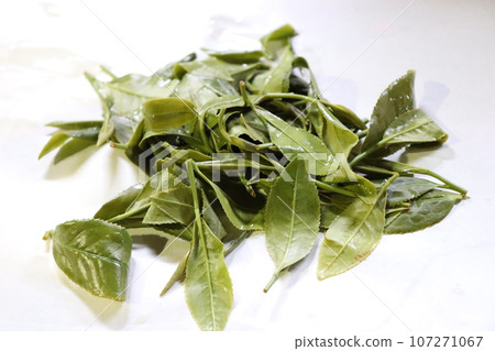 茶葉 107271067