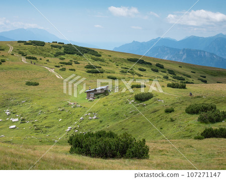 Summer meadow close to peak of Gazza mountain above Andalo town. Summer meadow close to peak of Gazza mountain above Andalo town. 107271147