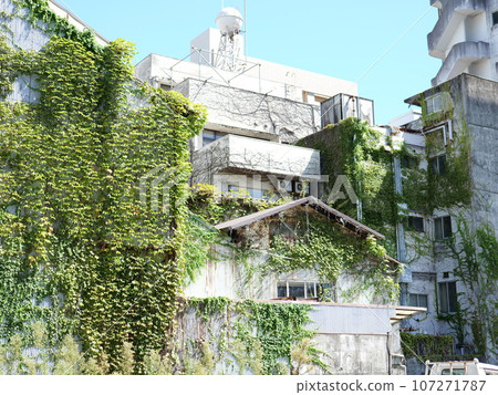 building full of plants building full of plants 107271787