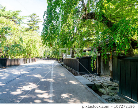 Summer scenery of the elegant samurai residence in Kakunodate, historic townscape Summer scenery of the elegant samurai residence in Kakunodate, historic townscape 107272186