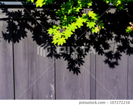 Summer scenery of the elegant samurai residence in Kakunodate, historic townscape 107272238