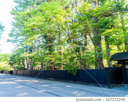 Summer scenery of the elegant samurai residence in Kakunodate, historic townscape 107272249