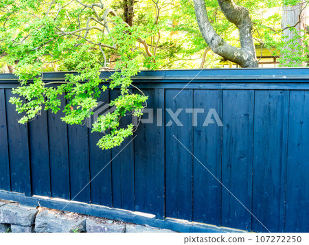 Summer scenery of the elegant samurai residence in Kakunodate, historic townscape 107272250