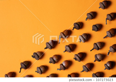 Many brown acorns with caps on over orange color Many brown acorns with caps on over orange color 107273023