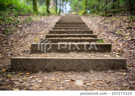 Step stairs in autumn forest park, Latvia Ligatne 107273329