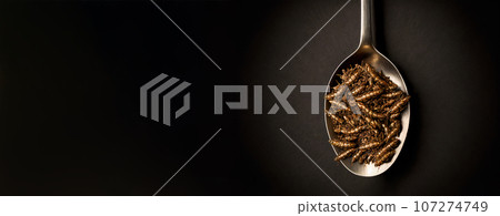 Fried edible insects in spoon. Crickets as snack, good source of protein. Banner with copy space for text. Entomophagy, insectivory concept. Close up view. Generative AI. 107274749