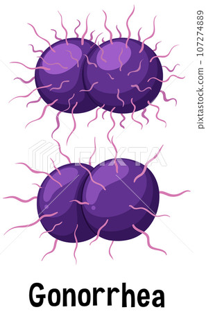 Neisseria gonorrhoeae bacterium with text Neisseria gonorrhoeae bacterium with text 107274889