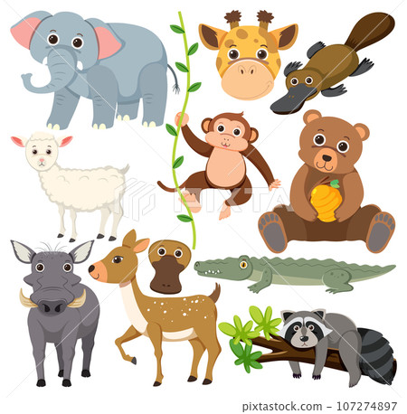 Set of mix animal character Set of mix animal character 107274897