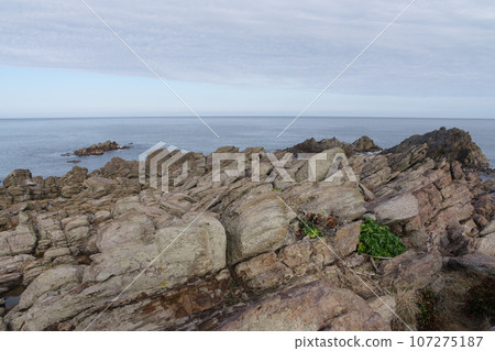 Fukui Prefecture Echizen Coast, Ojima plate-like joints Fukui Prefecture Echizen Coast, Ojima plate-like joints 107275187