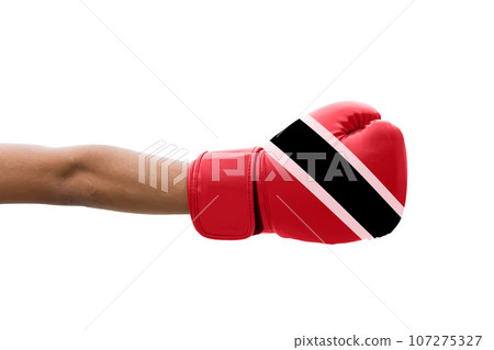 3D Flag on boxing gloves 107275327