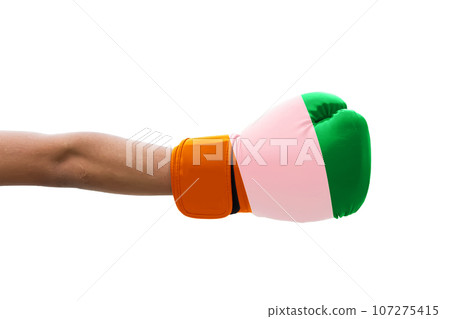 3D Flag on boxing gloves 3D Flag on boxing gloves 107275415