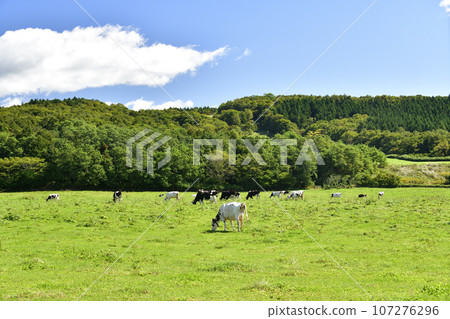 Photographing the scenery of a farm in Kitahinyama-ku, Setana-cho, Hokkaido in autumn Photographing the scenery of a farm in Kitahinyama-ku, Setana-cho, Hokkaido in autumn 107276296