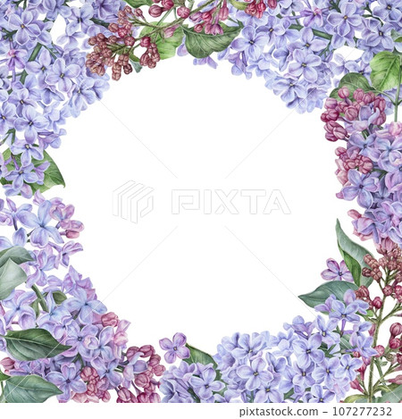 Square frame with purple lilac flowers. Watercolor botanical illustration. Hand drawn clipart isolated on a white background. Empty space for text. Copy space. Card template in floral style 107277232