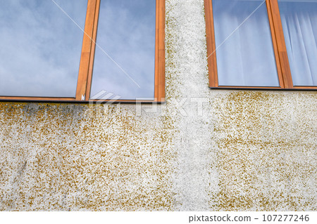 Defects in the facade of the building. Moss on the wall by the windows Defects in the facade of the building. Moss on the wall by the windows 107277246