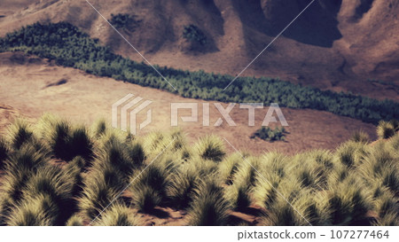 Very remote spinifex grass covered spot in the Great Victoria Desert 107277464