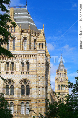 Natural History Museum in London 107277966
