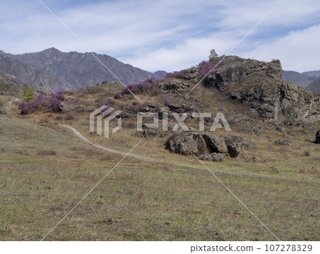 A country road meanders up into the mountains in the Altai Mountains in spring 107278329