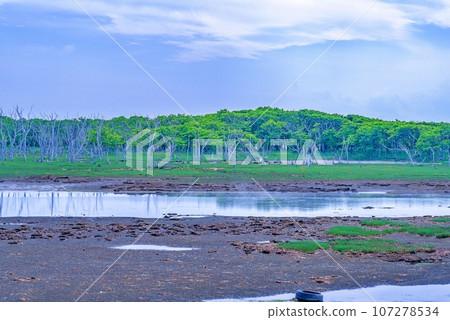 釧路港夜景 107278534