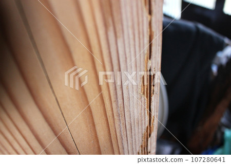 被白蟻吃掉的柱子 107280641