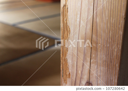 被白蟻吃掉的柱子 107280642