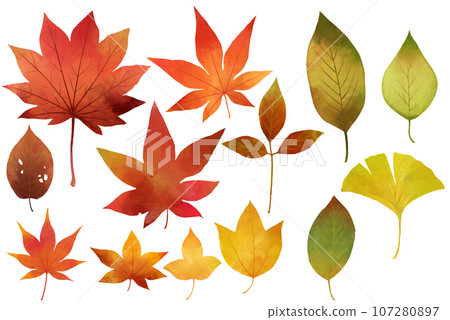 Fall illustration of plants 107280897