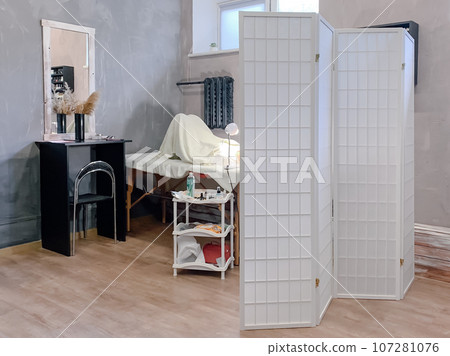 Workplace of lashmaker located behind folding screen, table with vase of pampas grass standing near couch with client. 107281076