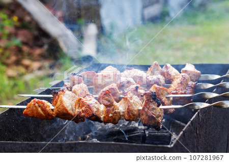 Shish kebab on skewers and barbecue closeup 107281967
