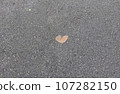 Photo material: heart leaf 107282150