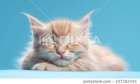 Advertising portrait, banner, young kitty redhead color, sleeping with closed eyes, isolated on blue background Advertising portrait, banner, young kitty redhead color, sleeping with closed eyes, isolated on blue background 107282343