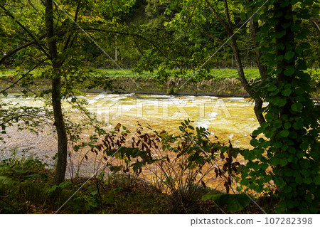 北湯澤溫泉 大更川/白木子（綠色凝灰岩） 107282398
