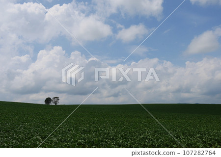 Hokkaido landscape, hills, clouds and blue sky Hokkaido landscape, hills, clouds and blue sky 107282764