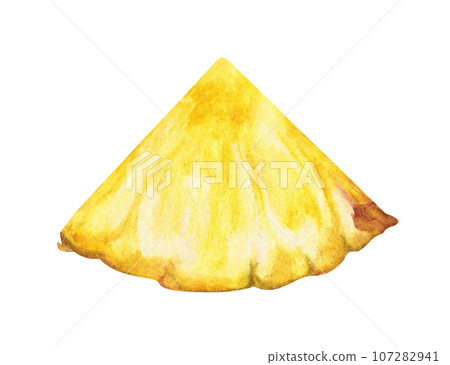 Watercolor painting of Slices of pineapple. 107282941