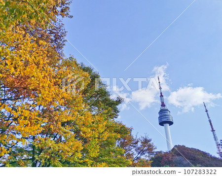 N Seoul Tourist Sigthseeing tall tower above Namsan mountain hill and blue sky with Autumn Foliage in orange green yellow leaves 107283322