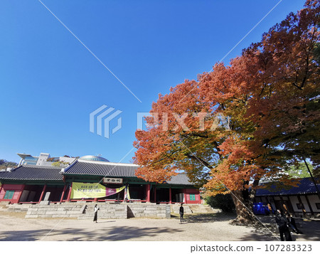 Poster of Confucius festival at Myeongryundang lecture hall of Sungkyunkwan University in Autumn. There are many students on the front ground. 107283323