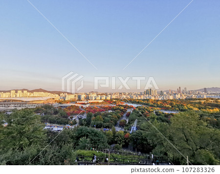 Colourful foliage trees in Autumn with various buildings and World Cup Stadium in the afternoon and blue sky. 107283326